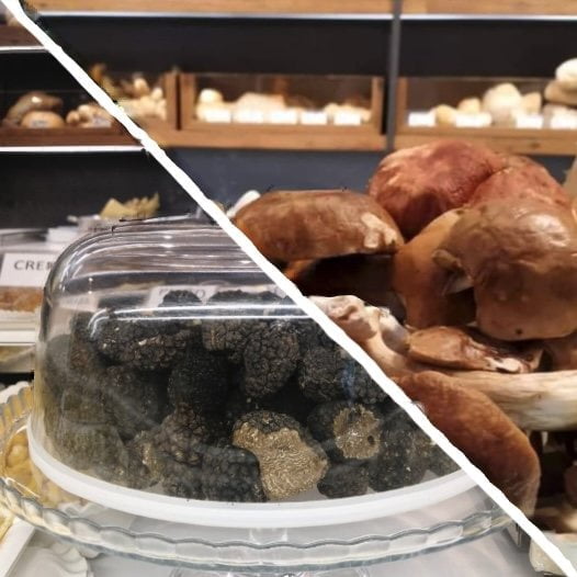 Enjoy Our Special Menu Based on Fresh Porcini and Summer Black Truffle!